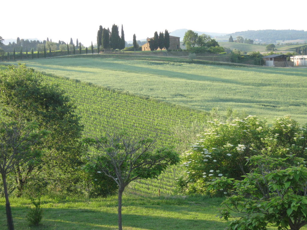 Villa Agriturismo Santa Maria à Torrita di Siena Extérieur photo