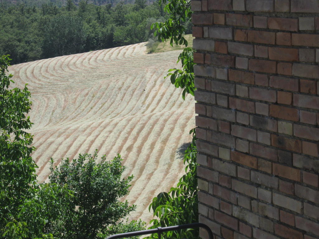 Villa Agriturismo Santa Maria à Torrita di Siena Extérieur photo