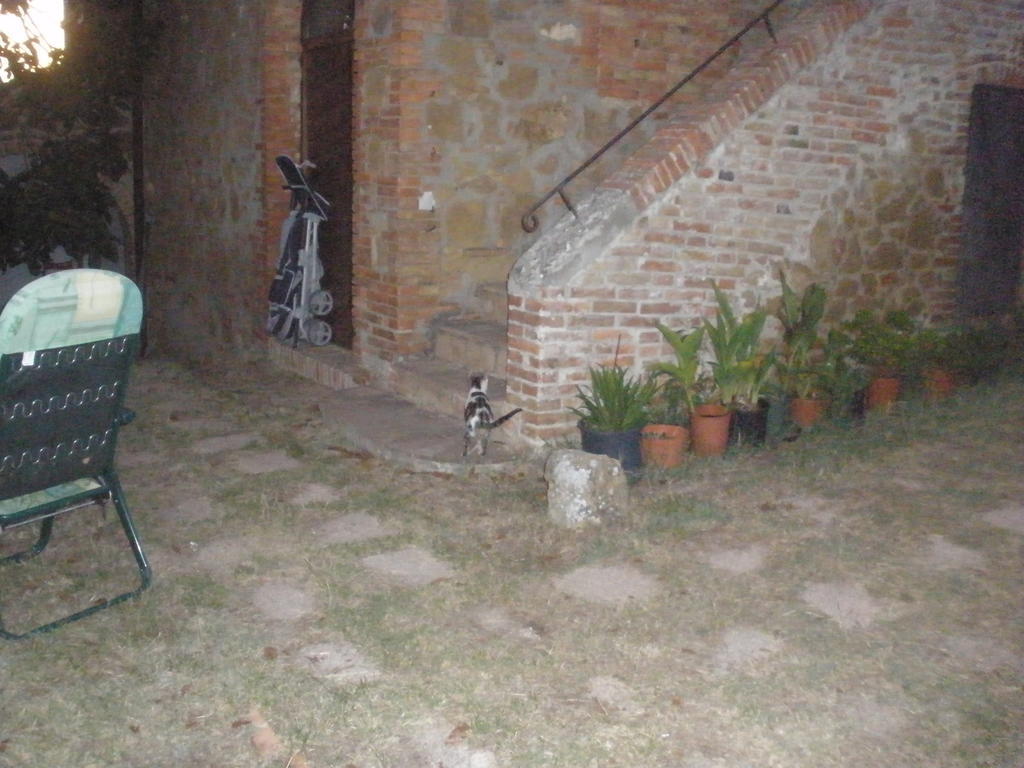 Agriturismo Santa Maria Torrita di Siena Extérieur photo