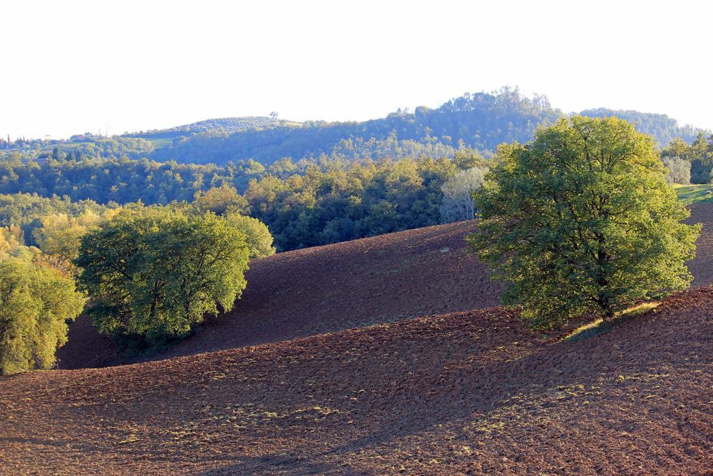 Villa Agriturismo Santa Maria à Torrita di Siena Extérieur photo