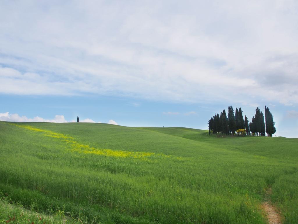 Agriturismo Santa Maria Torrita di Siena Extérieur photo