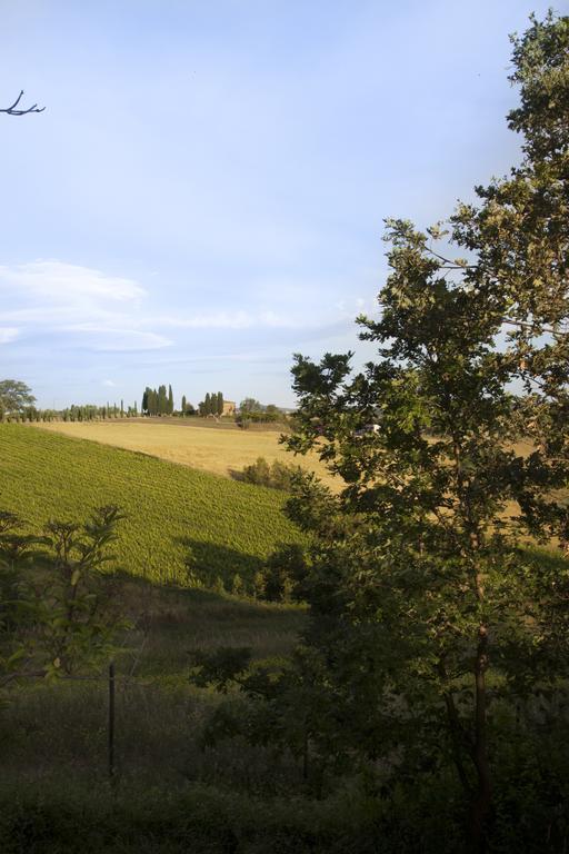 Agriturismo Santa Maria Torrita di Siena Extérieur photo