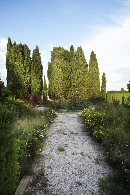 Agriturismo Santa Maria Torrita di Siena Extérieur photo